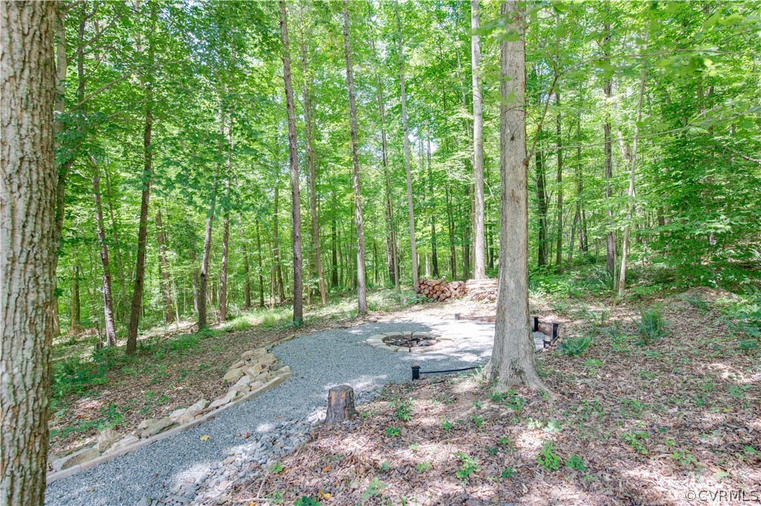 3940 Whitehall Road Sandy Hook, VA 23153 - Photo 13 of 49 a view of a road with plants and trees