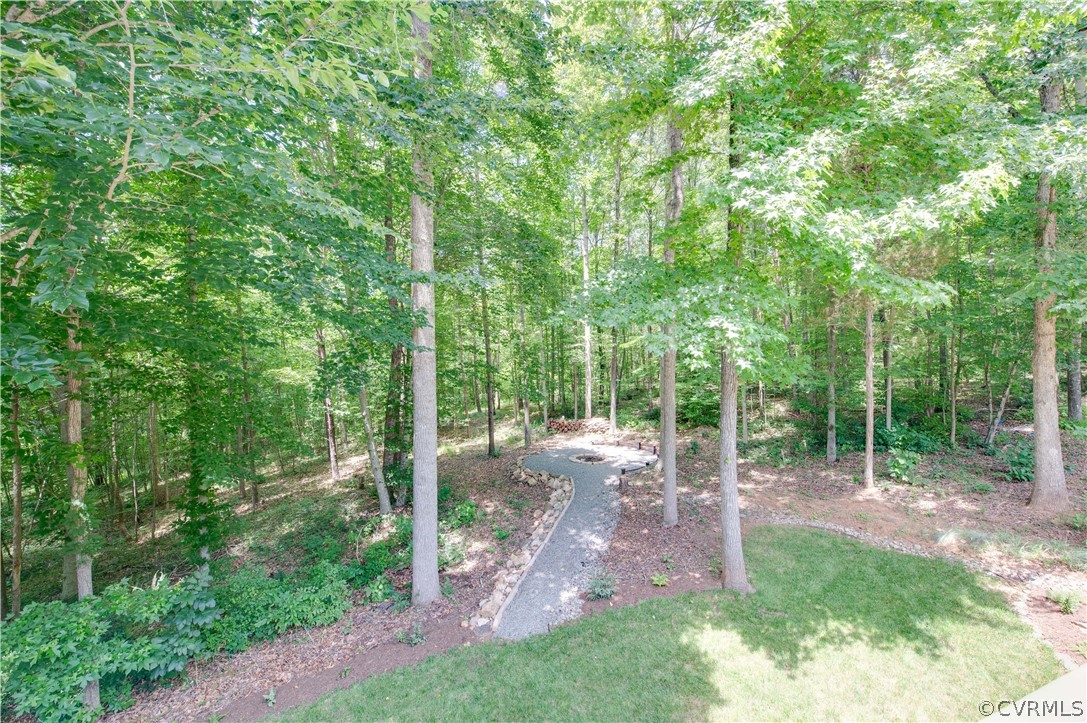 3940 Whitehall Road Sandy Hook, VA 23153 - Photo 18 of 49 a view of a forest with trees