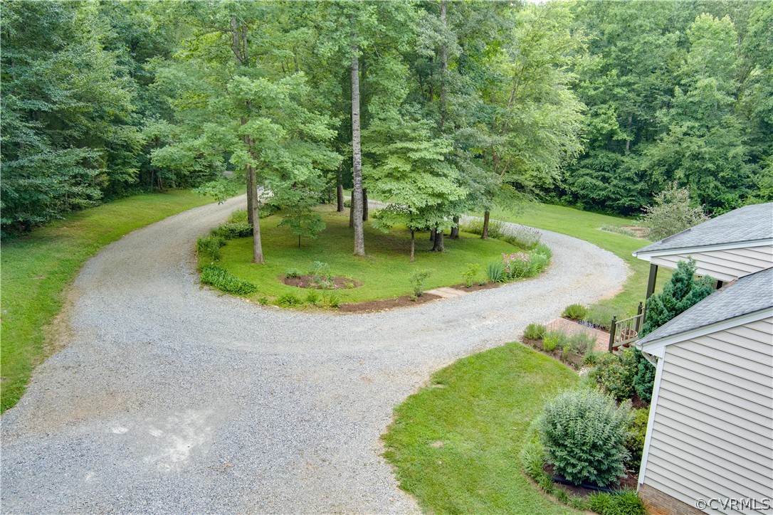 3940 Whitehall Road Sandy Hook, VA 23153 - Photo 6 of 49 a view of a trees in a backyard