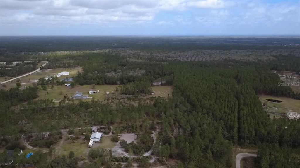 Wild Cur Road Pierson, FL 32180 - Photo 11 of 25