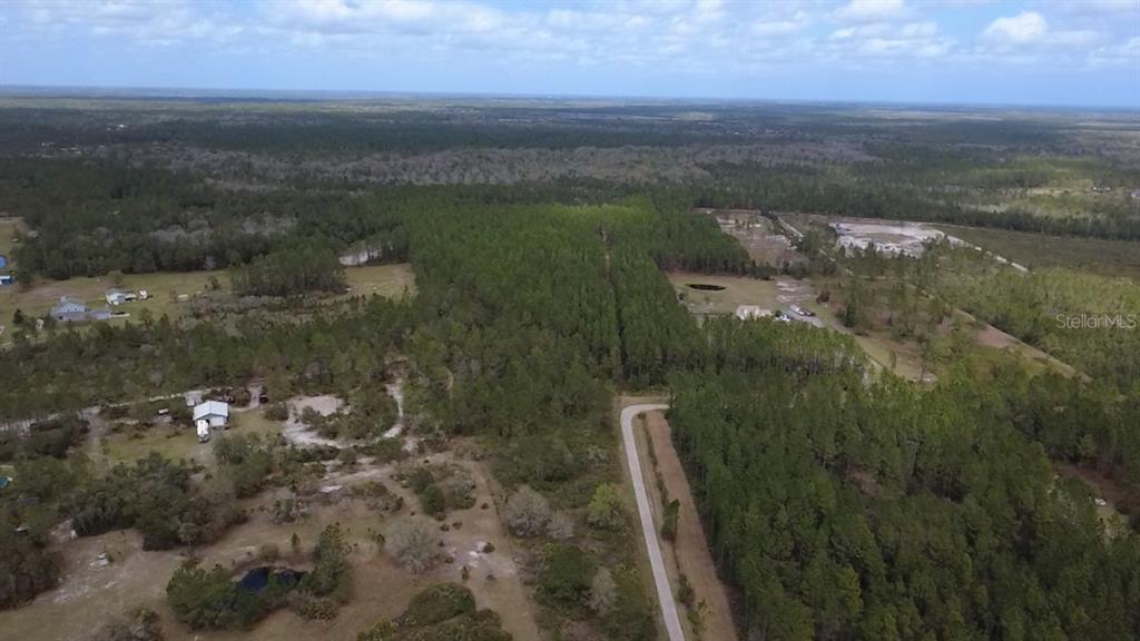 Wild Cur Road Pierson, FL 32180 - Photo 12 of 25