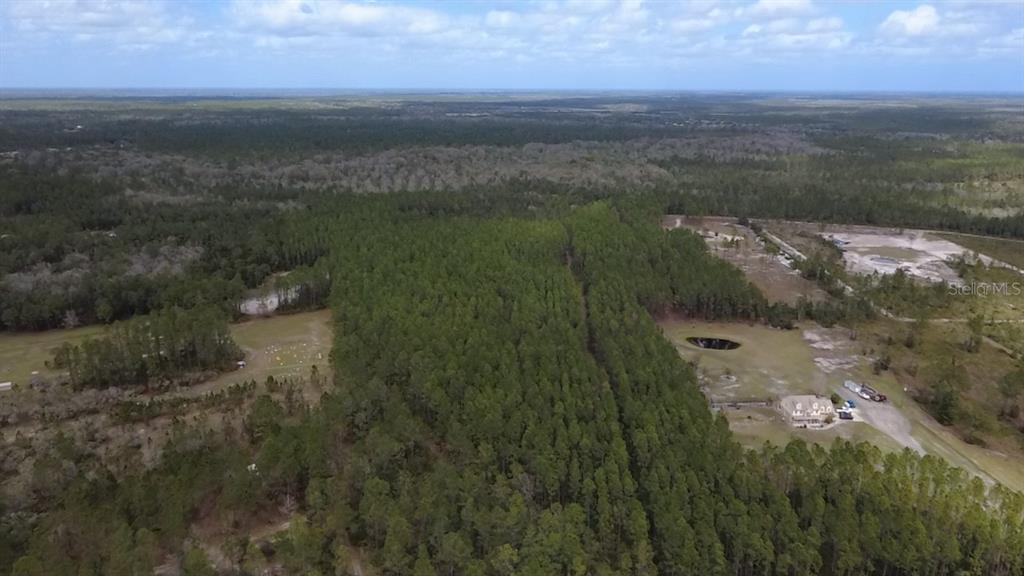 Wild Cur Road Pierson, FL 32180 - Photo 14 of 25