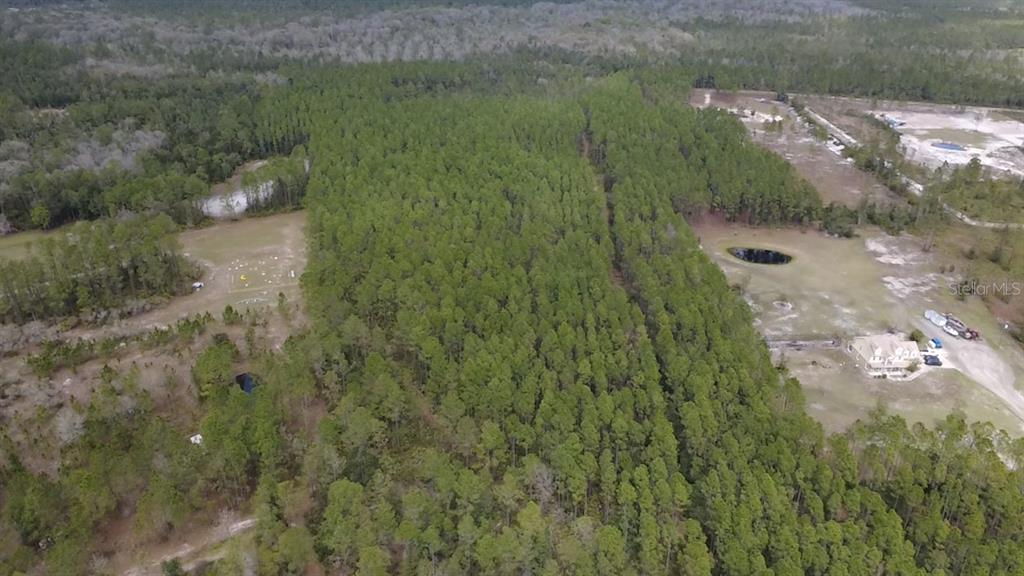 Wild Cur Road Pierson, FL 32180 - Photo 16 of 25