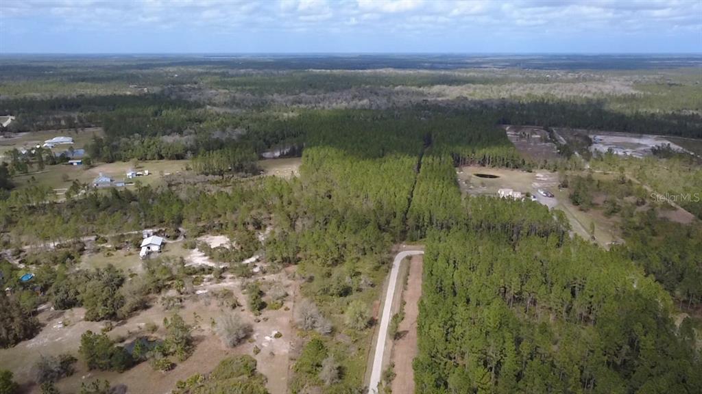 Wild Cur Road Pierson, FL 32180 - Photo 17 of 25