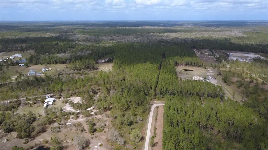 Wild Cur Road Pierson, FL 32180 - Photo 18 of 25