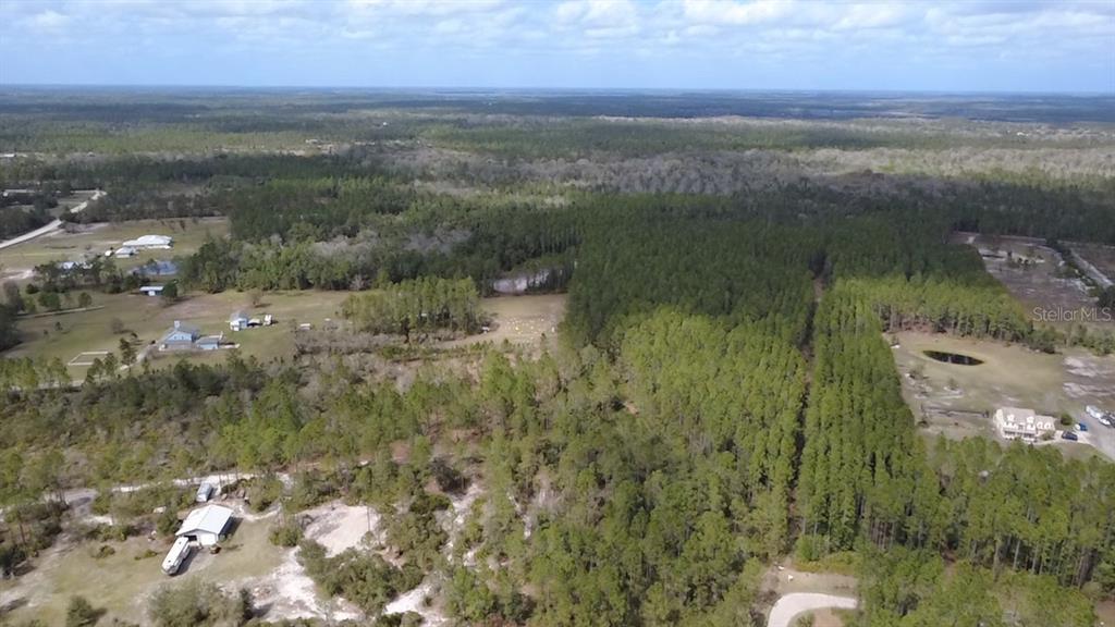 Wild Cur Road Pierson, FL 32180 - Photo 19 of 25