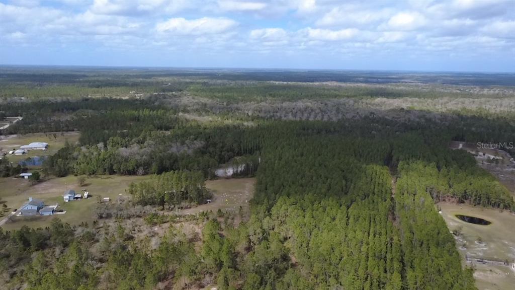 Wild Cur Road Pierson, FL 32180 - Photo 20 of 25