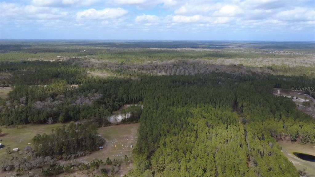 Wild Cur Road Pierson, FL 32180 - Photo 21 of 25