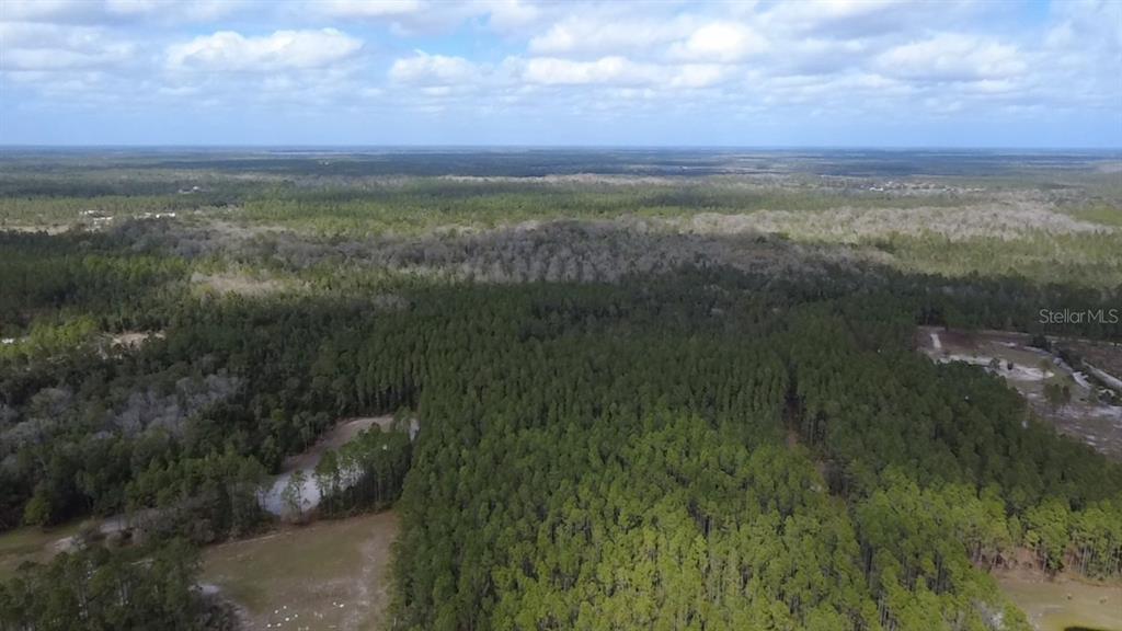 Wild Cur Road Pierson, FL 32180 - Photo 22 of 25