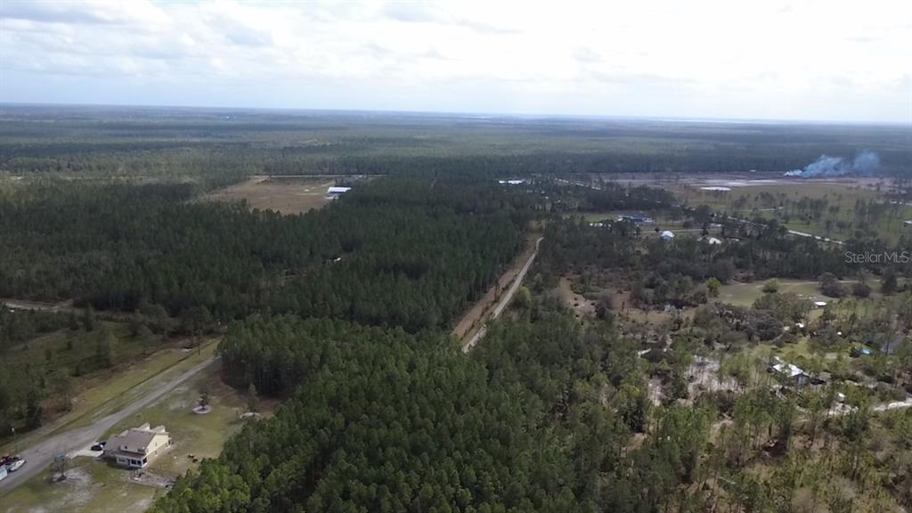 Wild Cur Road Pierson, FL 32180 - Photo 23 of 25