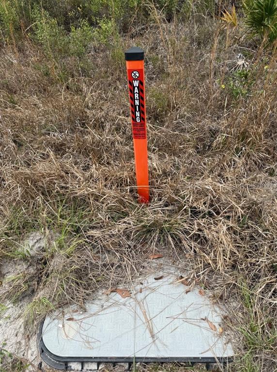 Wild Cur Road Pierson, FL 32180 - Photo 24 of 25