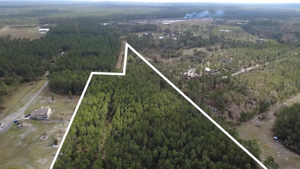 Wild Cur Road Pierson, FL 32180 - Photo 4 of 25