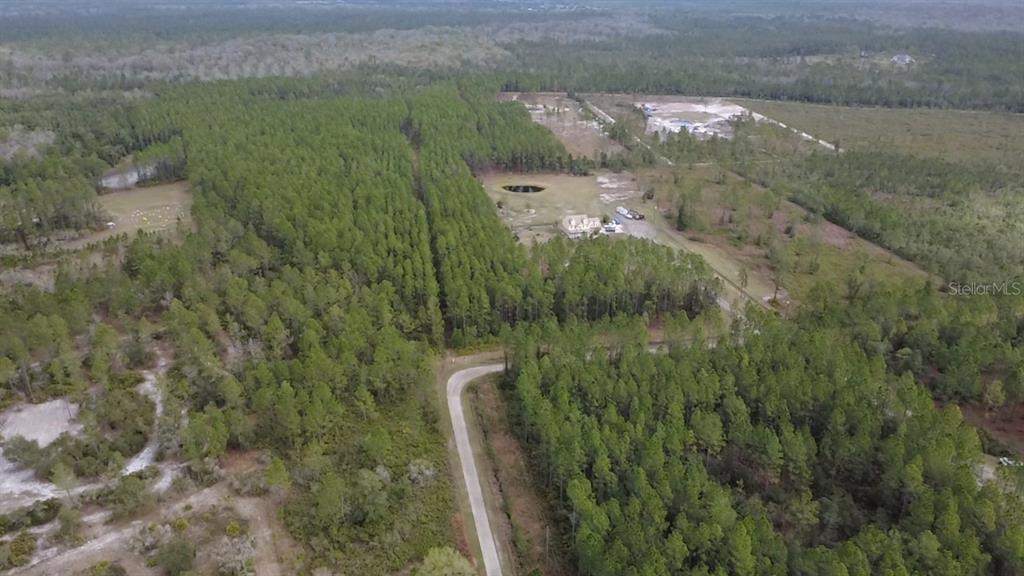 Wild Cur Road Pierson, FL 32180 - Photo 5 of 25