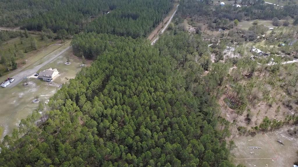 Wild Cur Road Pierson, FL 32180 - Photo 6 of 25