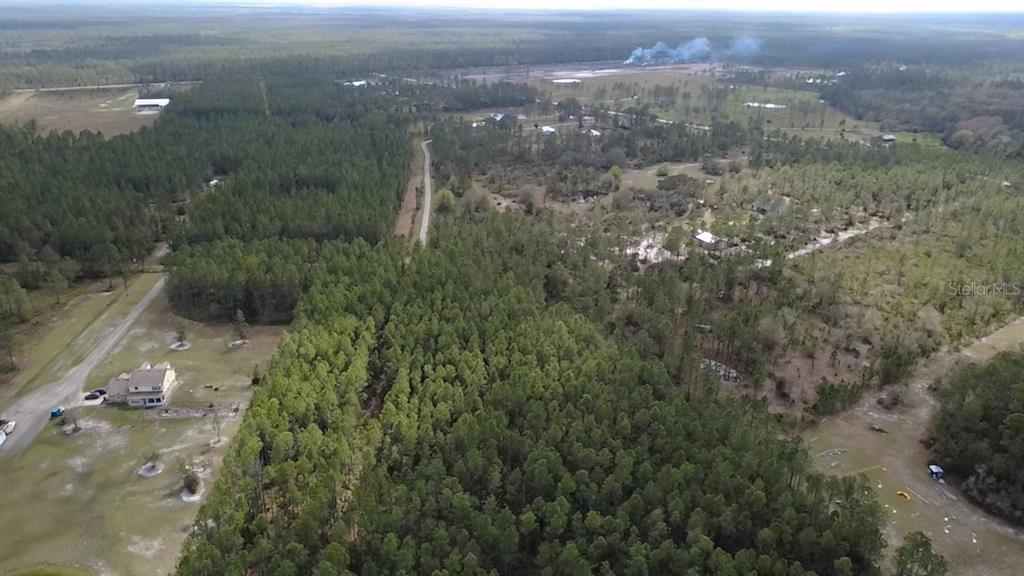 Wild Cur Road Pierson, FL 32180 - Photo 7 of 25