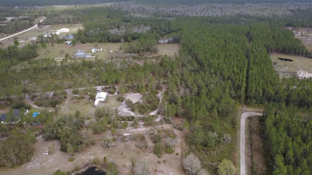 Wild Cur Road Pierson, FL 32180 - Photo 10 of 25
