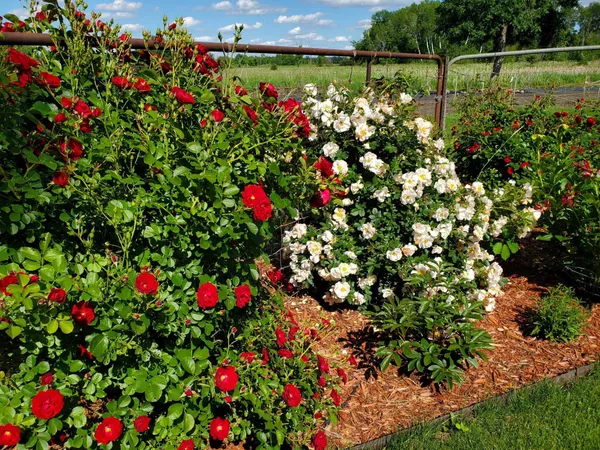 $699,999 | 38321 Baugh Street Northwest, Princeton, MN 55371