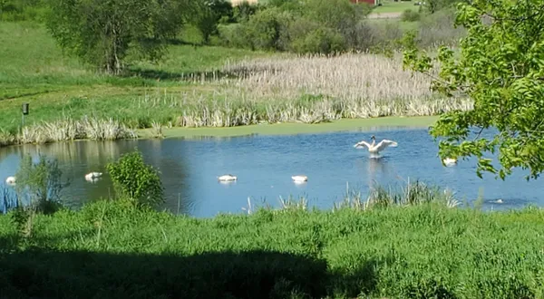 $699,999 | 38321 Baugh Street Northwest, Princeton, MN 55371