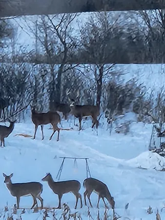 $699,999 | 38321 Baugh Street Northwest, Princeton, MN 55371