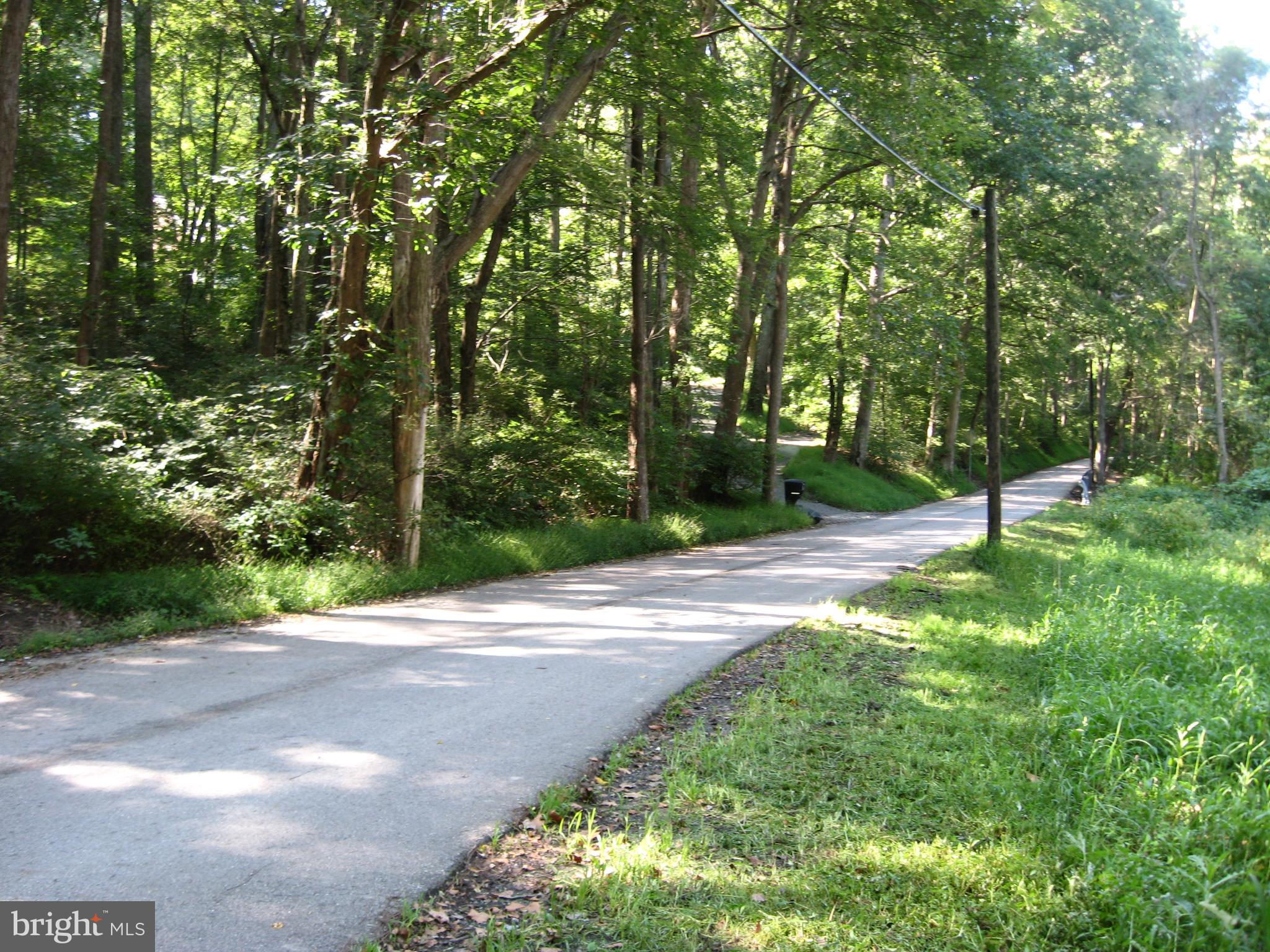 Vernon Road White Hall, MD 21161 - Photo 2 of 7 View looking South on Vernon from property.