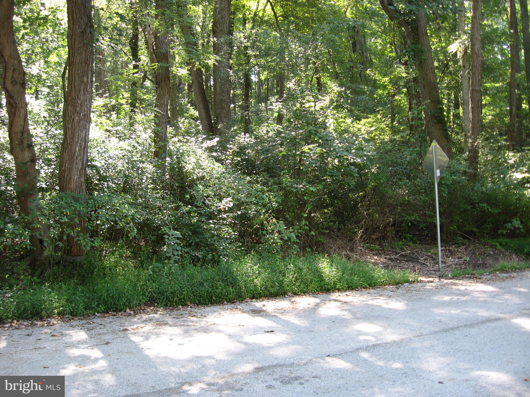 Vernon Road White Hall, MD 21161 - Photo 3 of 7 View of property from Vernon Road.