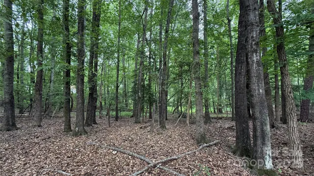 a view of outdoor space and green space