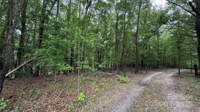 a view of outdoor space with lots of trees