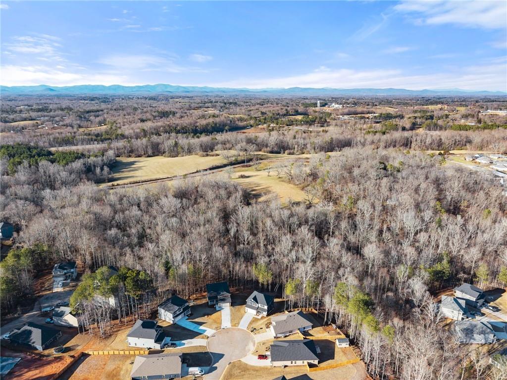 662 Forest Way Cornelia, GA 30531 - Photo 52 of 54 a view of a city