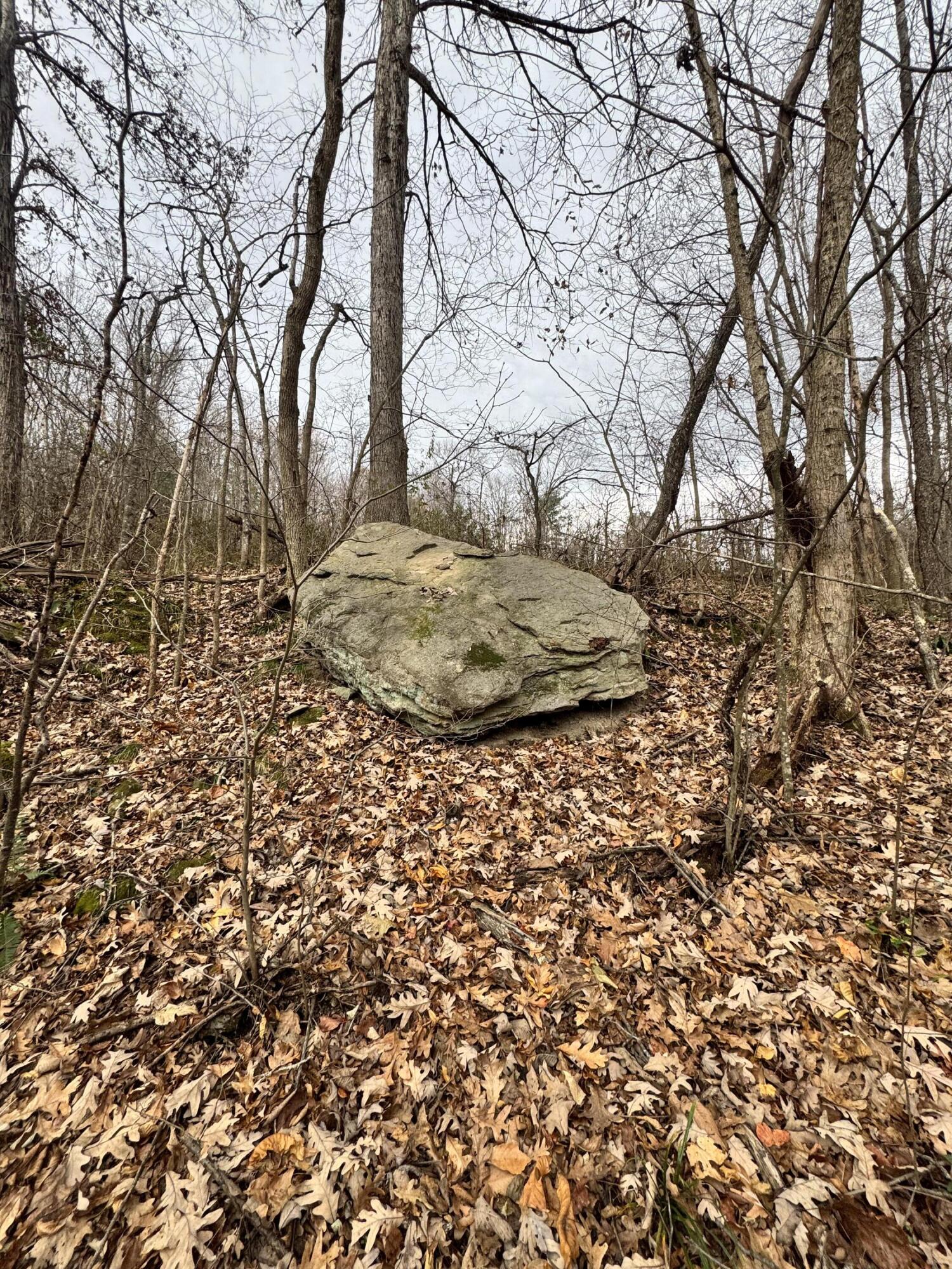 7099 Furnace Road Stanton, KY 40380 - Photo 5 of 13 IMG_5864