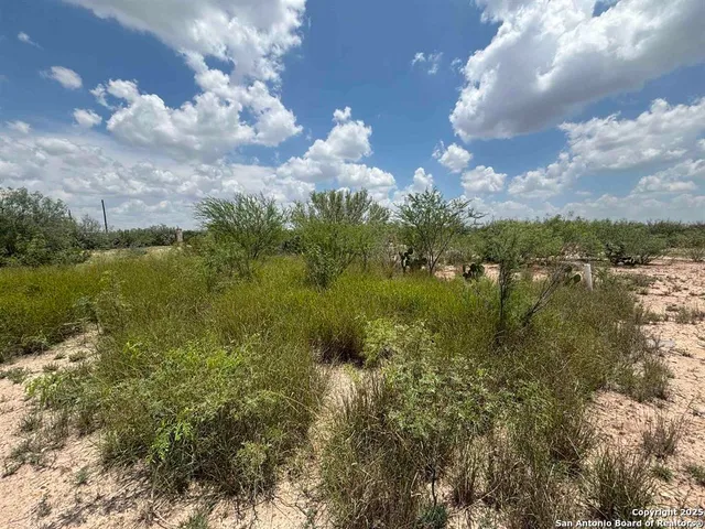 a view of a lake in middle of forest