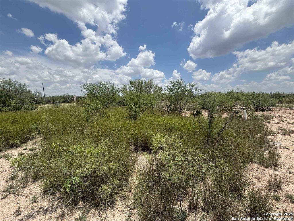 446 Ranch Road Laredo, TX 78043 - Photo 8 of 10 a view of a lake in middle of forest