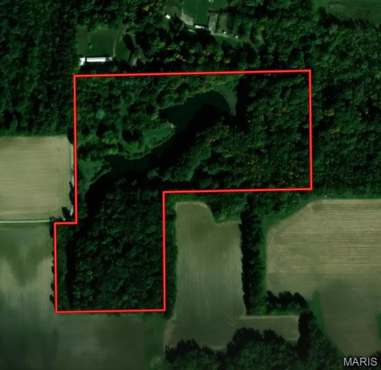 9368 Rhea Park Road Loami, IL 62661 - Photo 46 of 54