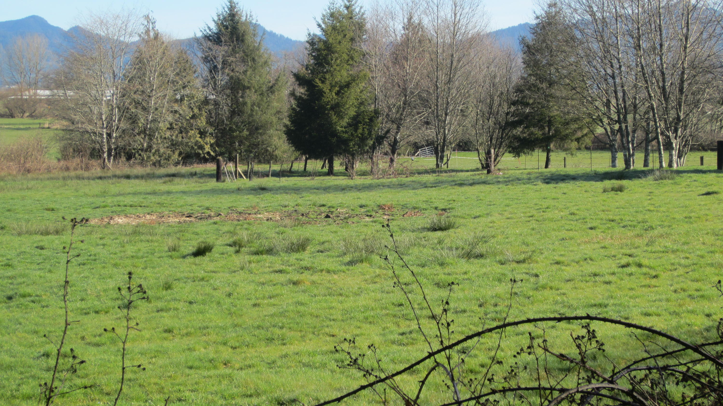 T/l03800 Weber Road Tillamook, OR 97141 - Photo 4 of 4 IMG_2331