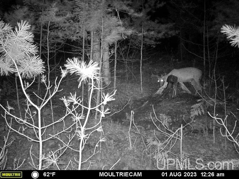 T-wi Birch Hill Road Amberg, WI 54102 - Photo 11 of 21