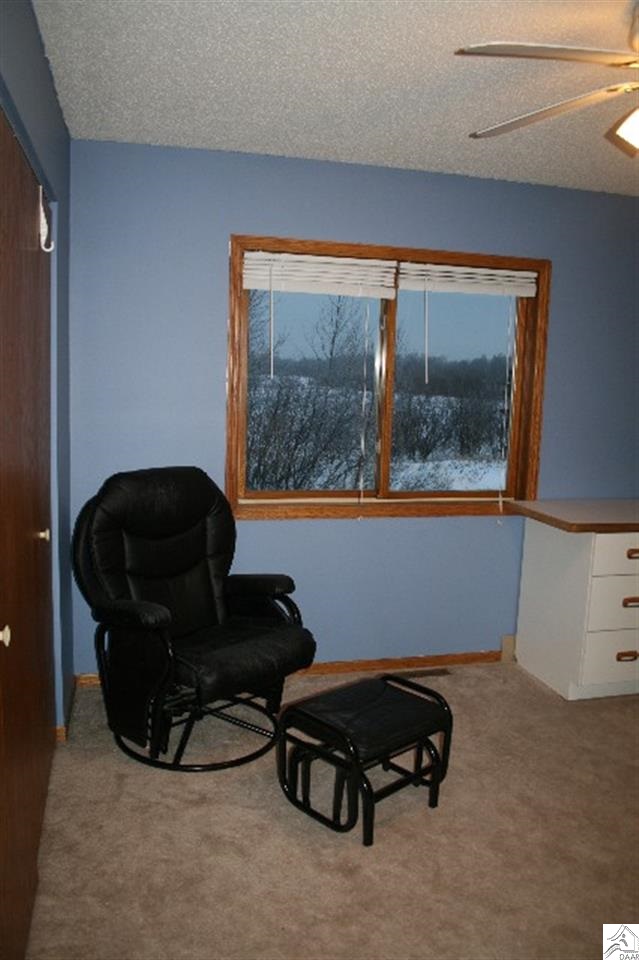 4076 Stebner Road Hermantown, MN 55811 - Photo 9 of 17 Gallery Image 9