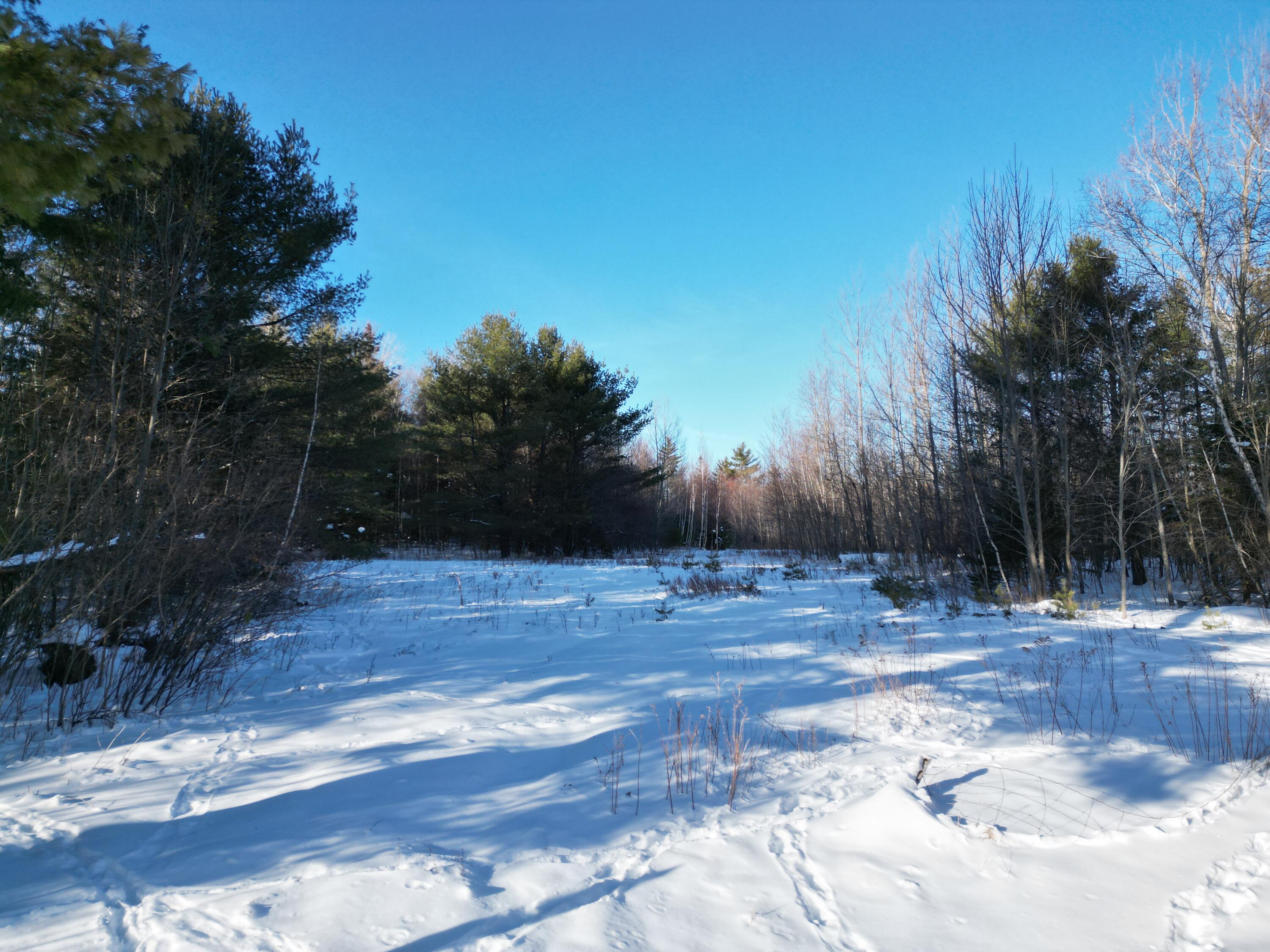 123 Folsom Ridge Road Burlington, ME 04417 - Photo 34 of 38 DJI_0039