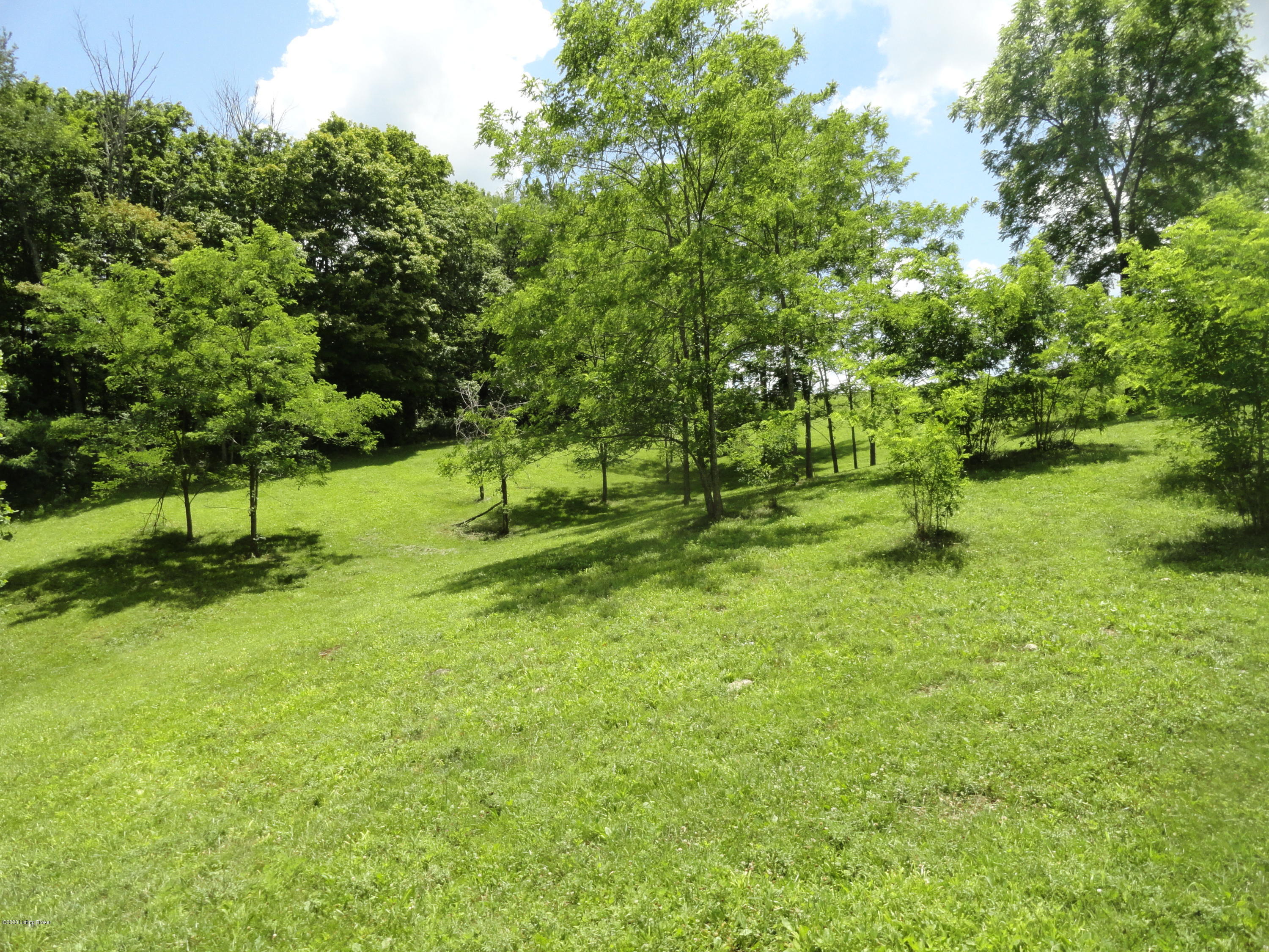 1170 Anderson City Road Lawrenceburg, KY 40342 - Photo 56 of 70 DSC03174