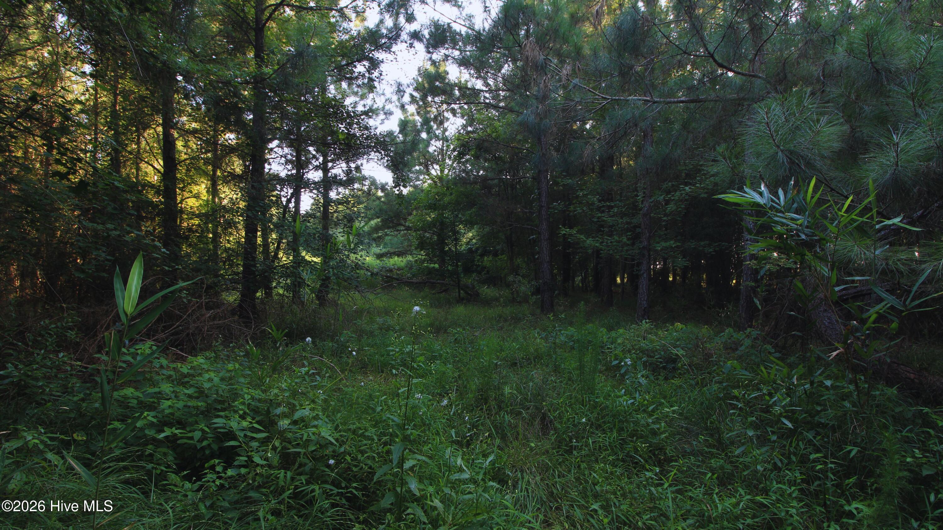 999 Boyd Swamp Road Pinetown, NC 27865 - Photo 10 of 13 Gallery Image 10