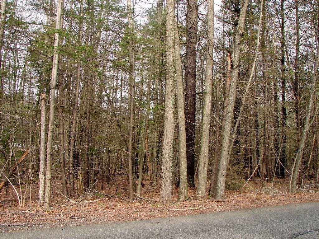 23 Greenleaf Parsons Road Cape Neddick, ME 03902 - Photo 5 of 6 Photo