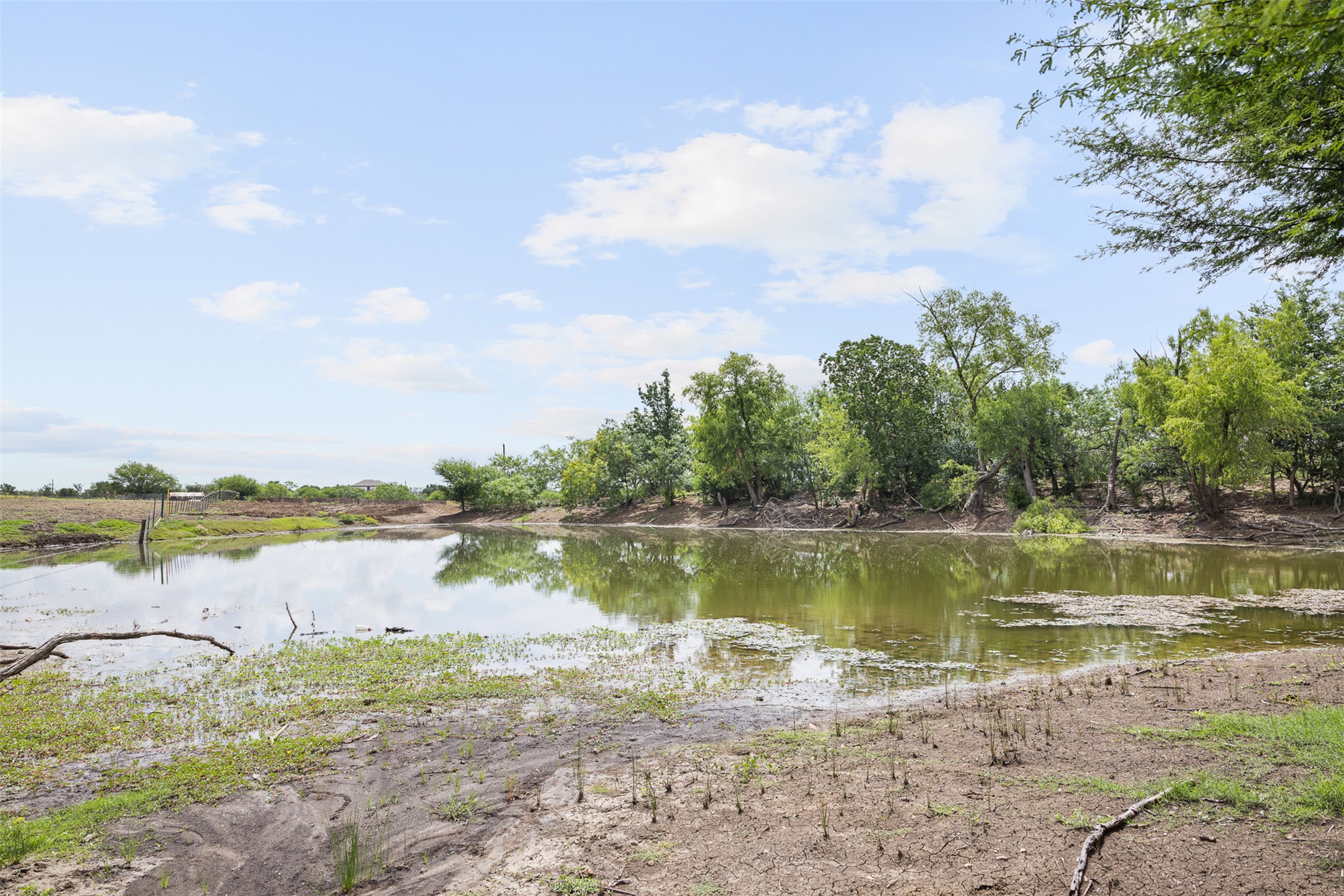 3315 Dry Creek Road Lockhart, TX 78644 - Photo 18 of 26 Reflecting the sky, a serene pond is bordered by a natural tree line, offering a peaceful rural outlook.