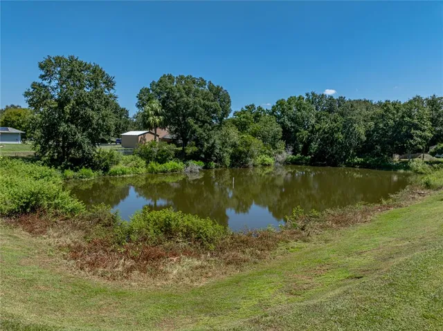 $1,999,999 | 31511 Saddle Lane, Wesley Chapel, FL 33543