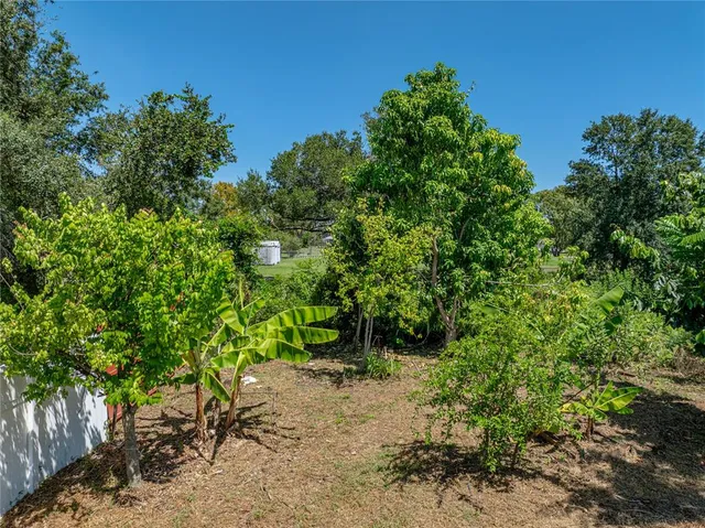 $1,999,999 | 31511 Saddle Lane, Wesley Chapel, FL 33543