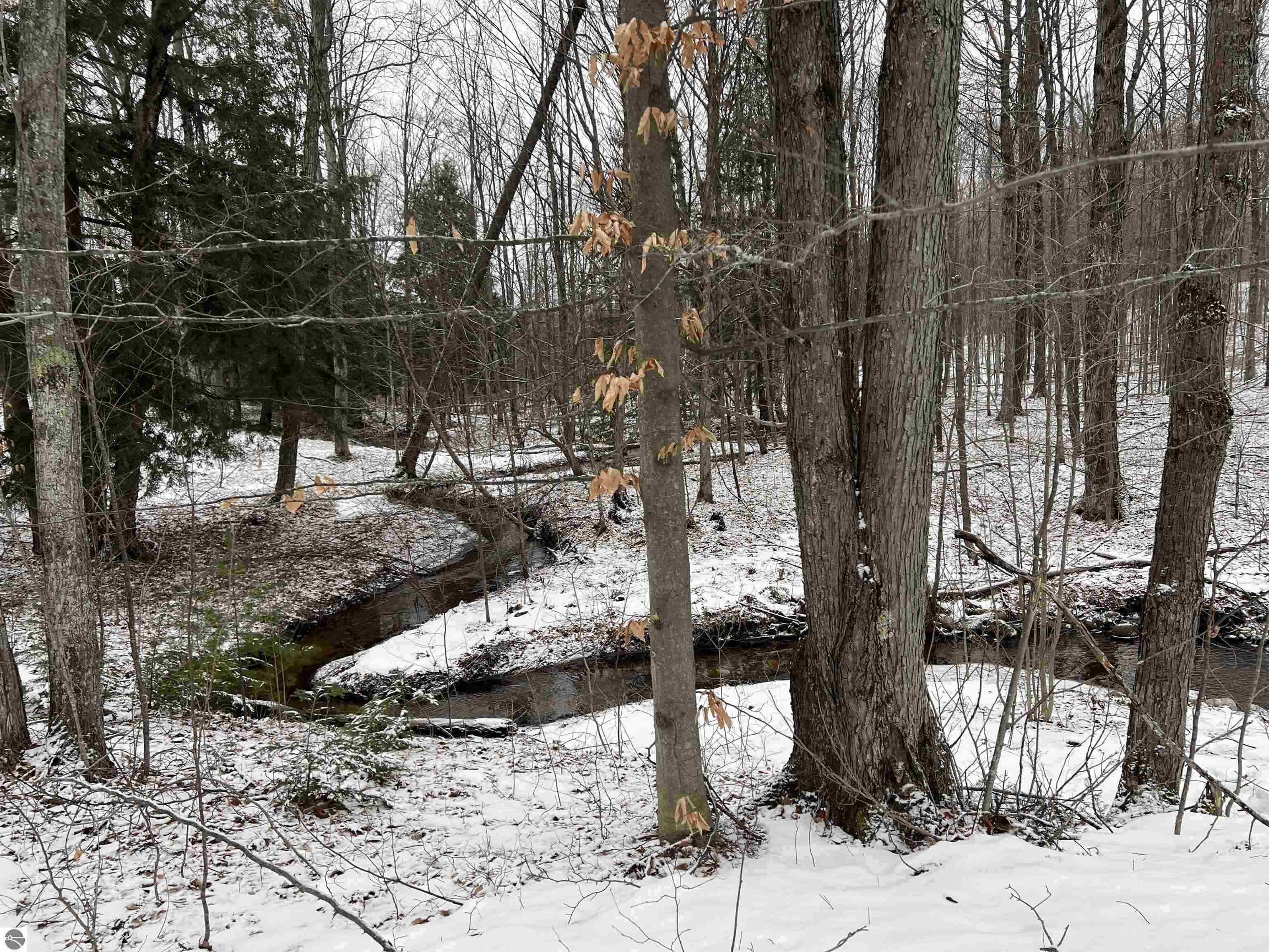 10 D Preston Road Northeast Kalkaska, MI 49646 - Photo 3 of 7 Gallery Image 3