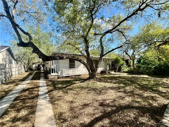 a view of a yard with plants and trees