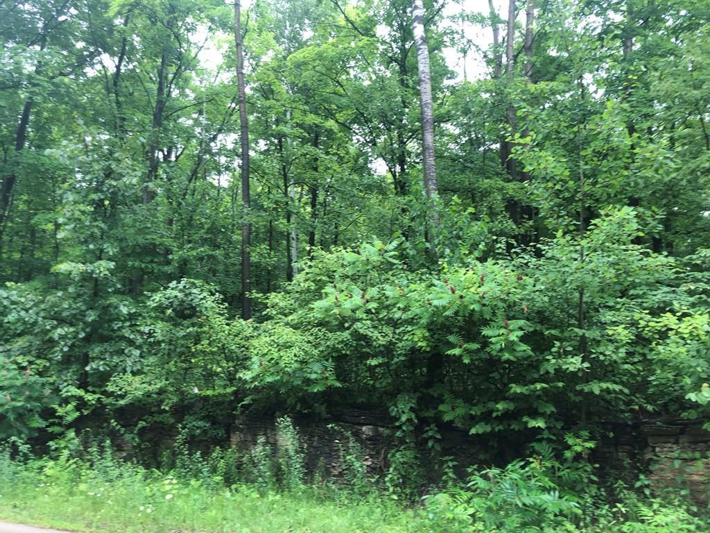 F1-d2 Timber Ridge Road Sturgeon Bay, WI 54235 - Photo 12 of 22