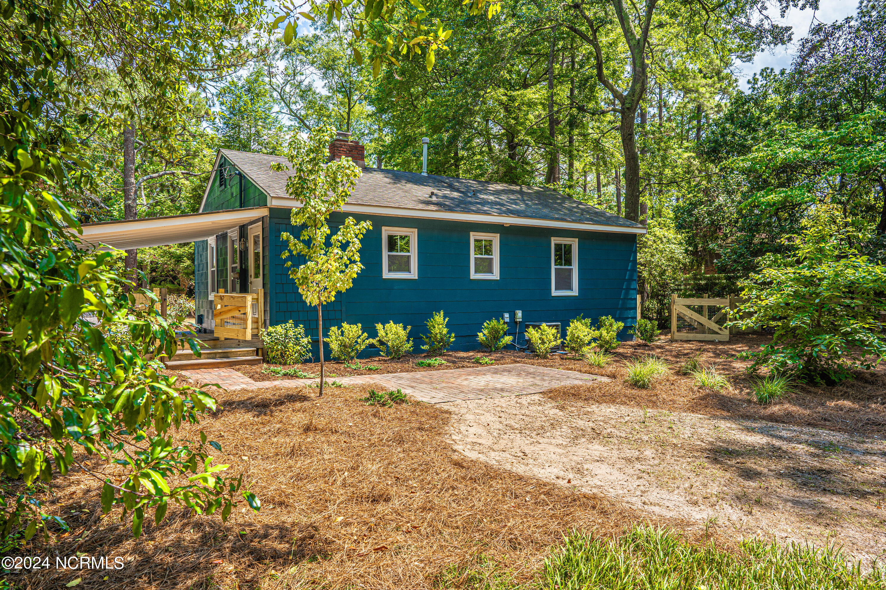 440 South Ridge Street Southern Pines, NC 28387 - Photo 33 of 39 Backyard