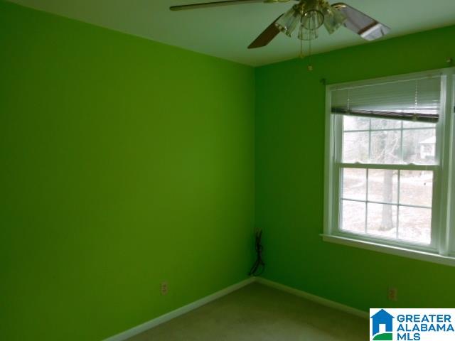 300 Ebenezer Road Odenville, AL 35120 - Photo 9 of 12