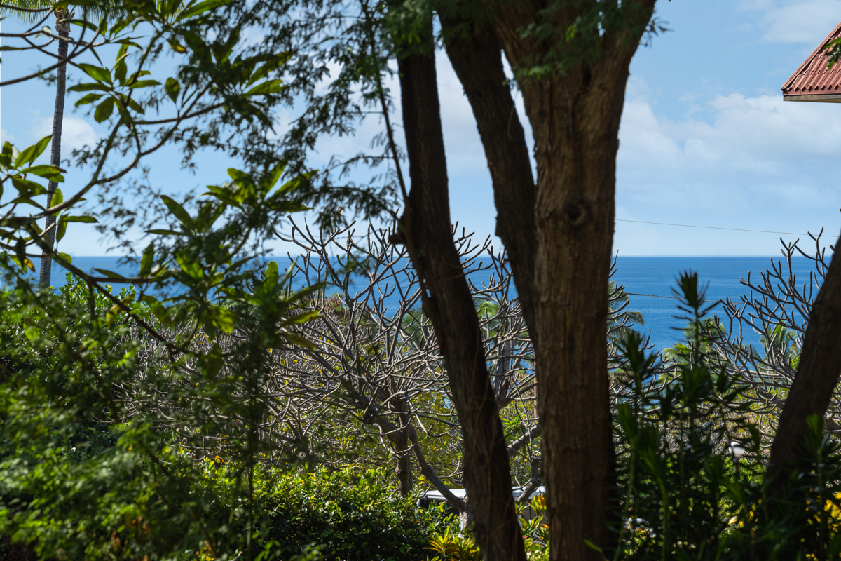 75-5865 Walua Road, Unit C318 Kailua-Kona, HI 96740 - Photo 3 of 28