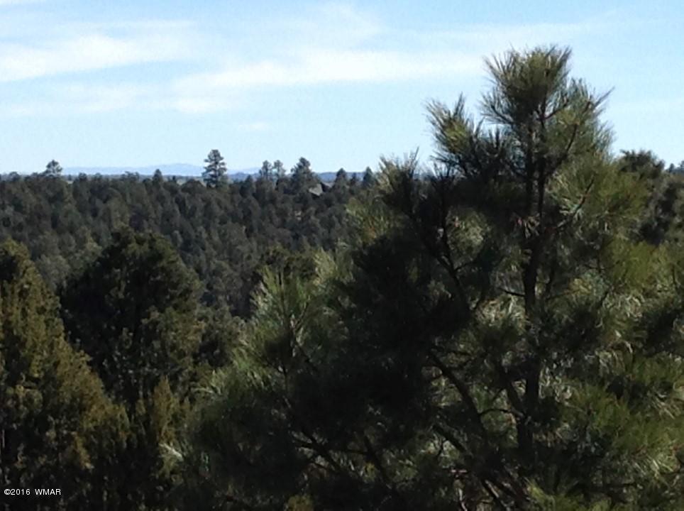 2972 Lodgepole Road Overgaard, AZ 85933 - Photo 12 of 41 a view of a city