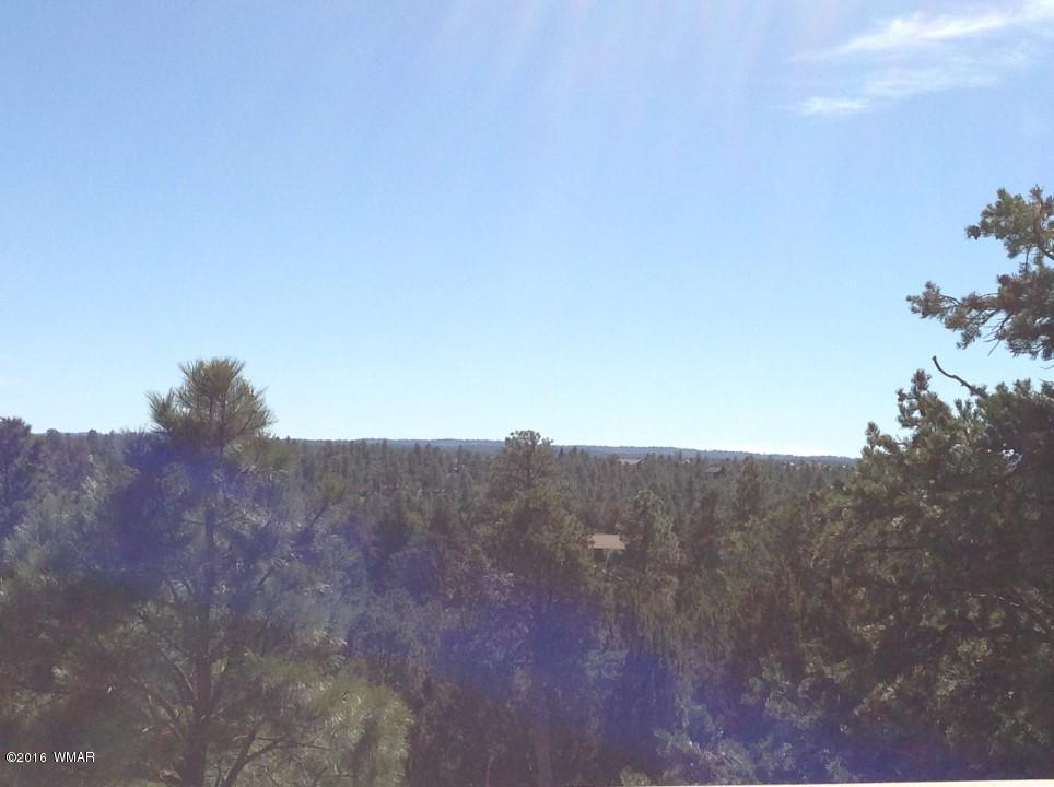 2972 Lodgepole Road Overgaard, AZ 85933 - Photo 24 of 41 a view of a dry field
